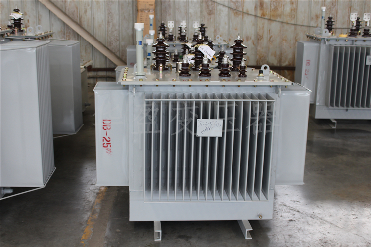 濮阳S20-800kVA/10kV/0.4kV变压器